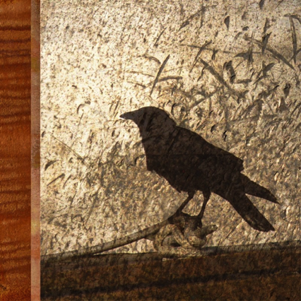 Crow (looking left) Crow (looking left)
